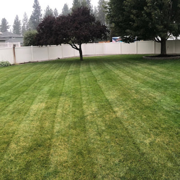 Meet your Posher, Kevin - Picture 1 of 1